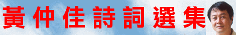 θֵﶰ(ֿ) A collection of Chinese Verses written by John Wong
